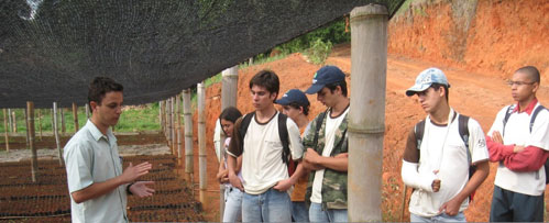 Figura 2