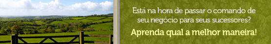 Conheça os principais aspectos, conceitos e ferramentas que facilitam o processo sucessório