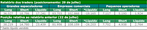 Figura 1